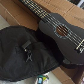 Ukulele for Beginners - Your Perfect Musical Companion photo review