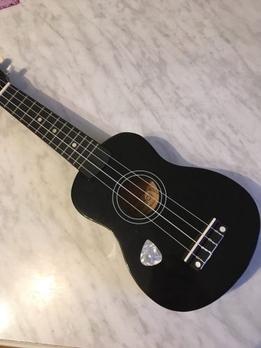 Ukulele for Beginners - Your Perfect Musical Companion photo review