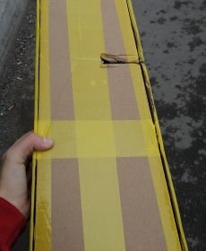 Ukulele for Beginners - Your Perfect Musical Companion photo review