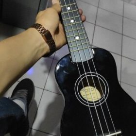 Ukulele for Beginners - Your Perfect Musical Companion photo review