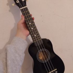 Ukulele for Beginners - Your Perfect Musical Companion photo review