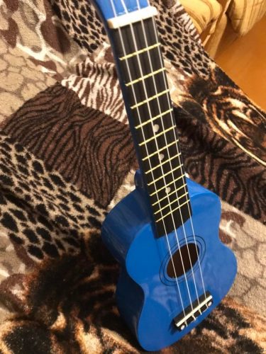 Ukulele for Beginners - Your Perfect Musical Companion photo review