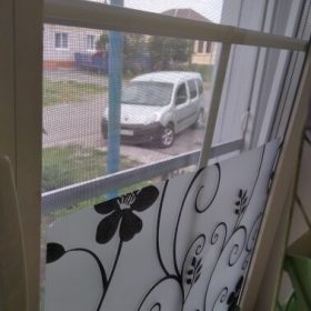 Ukulele for Beginners - Your Perfect Musical Companion photo review