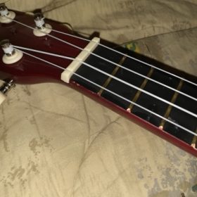 Ukulele for Beginners - Your Perfect Musical Companion photo review