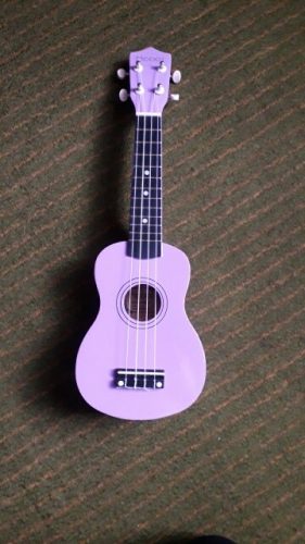 Ukulele for Beginners - Your Perfect Musical Companion photo review
