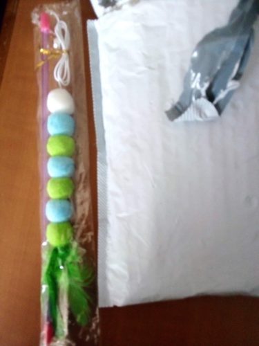 nicebands Cat Dog Chaser Toys, 2in1 Balance Swing Car Toy Stimulate Hunting Instinct Catnip Teaser Toys with Catnip Ball Toys, 2 Pack Cat Stick with Teasing Ball photo review