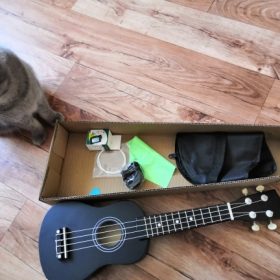 Ukulele for Beginners - Your Perfect Musical Companion photo review
