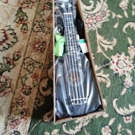 Ukulele for Beginners - Your Perfect Musical Companion photo review