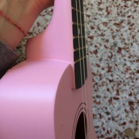 Ukulele for Beginners - Your Perfect Musical Companion photo review