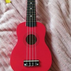 Ukulele for Beginners - Your Perfect Musical Companion photo review