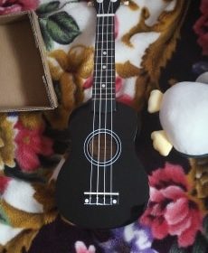 Ukulele for Beginners - Your Perfect Musical Companion photo review