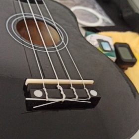 Ukulele for Beginners - Your Perfect Musical Companion photo review