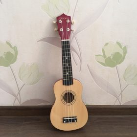 Ukulele for Beginners - Your Perfect Musical Companion photo review