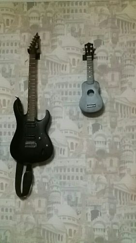 Ukulele for Beginners - Your Perfect Musical Companion photo review