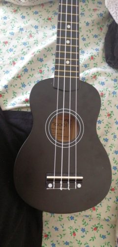 Ukulele for Beginners - Your Perfect Musical Companion photo review