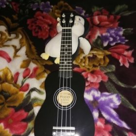 Ukulele for Beginners - Your Perfect Musical Companion photo review
