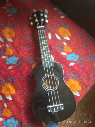 Ukulele for Beginners - Your Perfect Musical Companion photo review