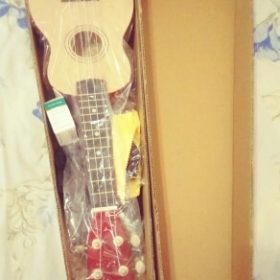 Ukulele for Beginners - Your Perfect Musical Companion photo review