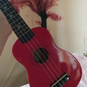 Ukulele for Beginners - Your Perfect Musical Companion photo review