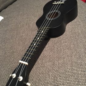 Ukulele for Beginners - Your Perfect Musical Companion photo review