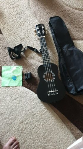 Ukulele for Beginners - Your Perfect Musical Companion photo review