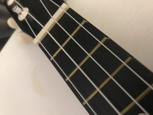 Ukulele for Beginners - Your Perfect Musical Companion photo review