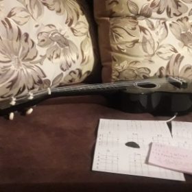 Ukulele for Beginners - Your Perfect Musical Companion photo review